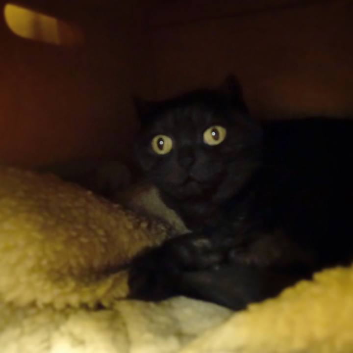 B3ca695d a536 4e7f 9a96 00d0c46a91b9