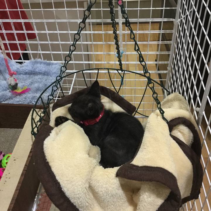 B3cb0946 5ebc 463e 9c8c bd74e14581fe