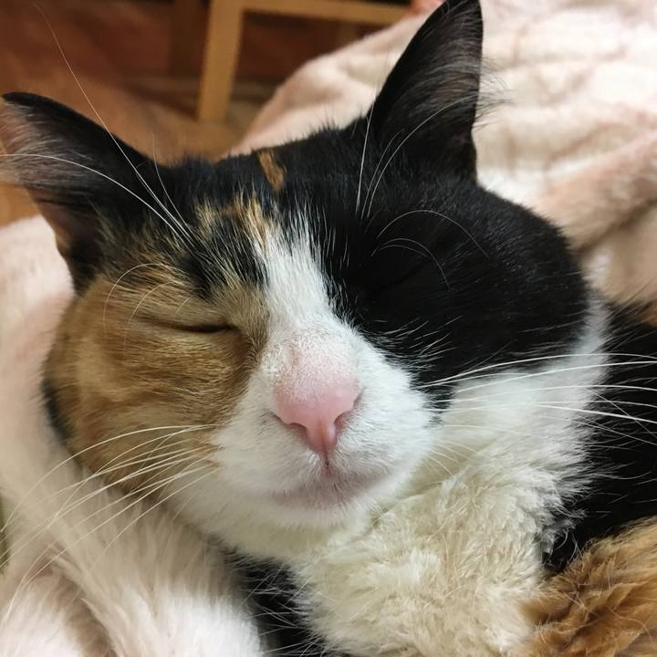 B3cb1346 4054 4852 aca3 139ba97a554a