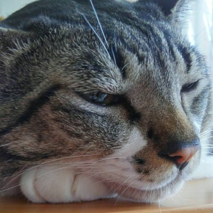 B3cb2d15 19b8 456c 872c 2d32193cac37