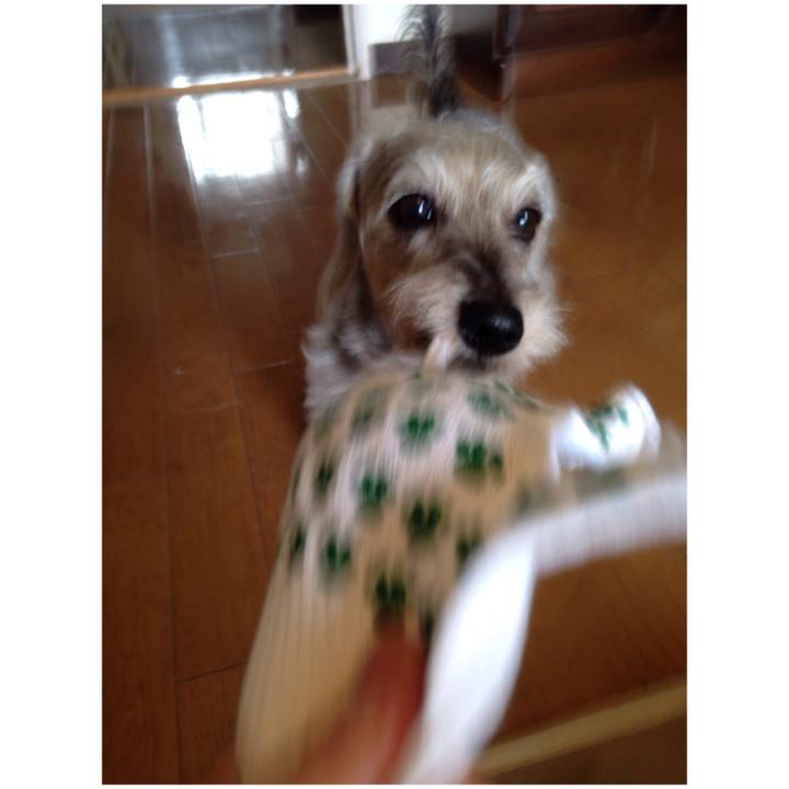 B3cbbc49 bf2b 4993 ba52 d95cfd09b3a5