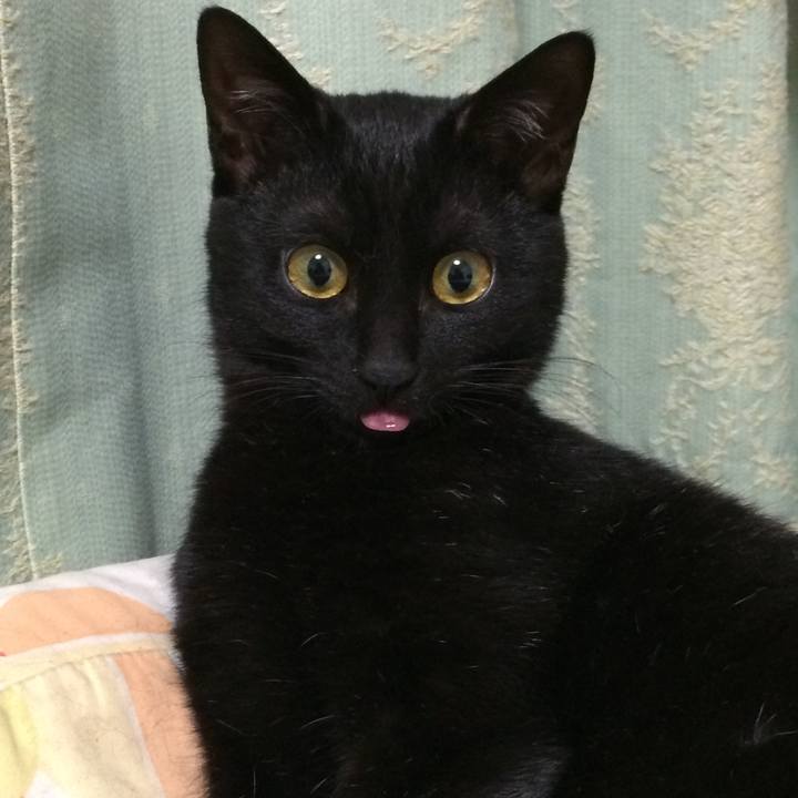 B3cc65ba 54a2 43db bb87 b4fda8c030ab