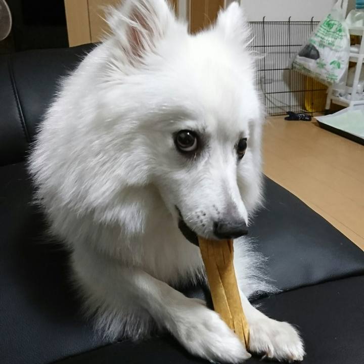 B3cc8c63 f622 4874 aa60 13806db4d7aa