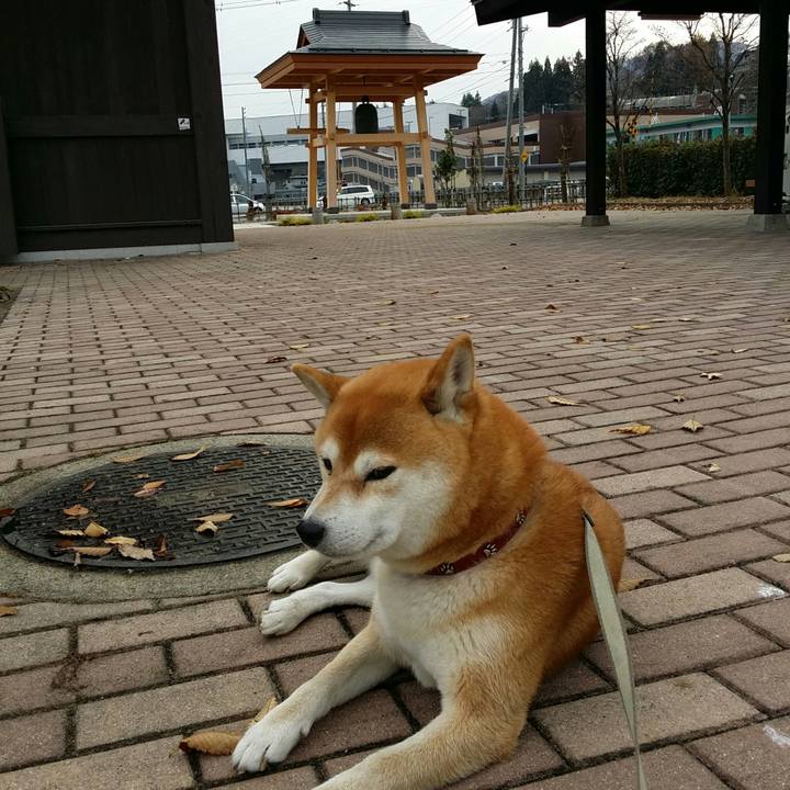 B3ccf97d b8ed 4c09 8a5c a23603153421