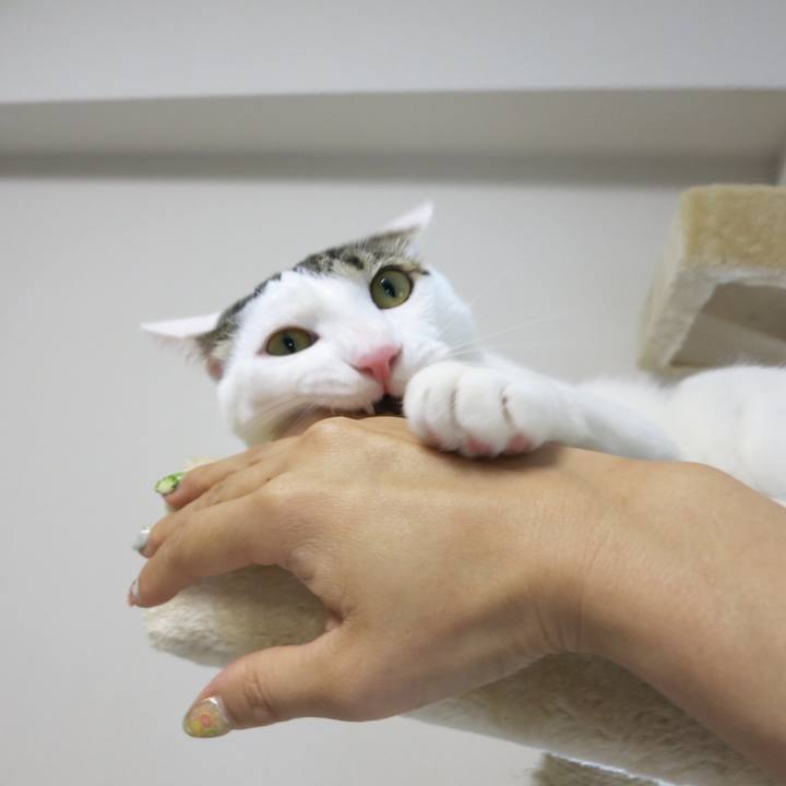 B3cd0254 ef43 444a 94f7 0683b71b16c0