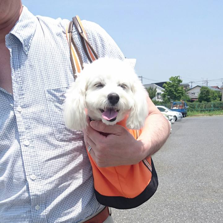 B3cd5734 228a 483a b743 97311180e16f