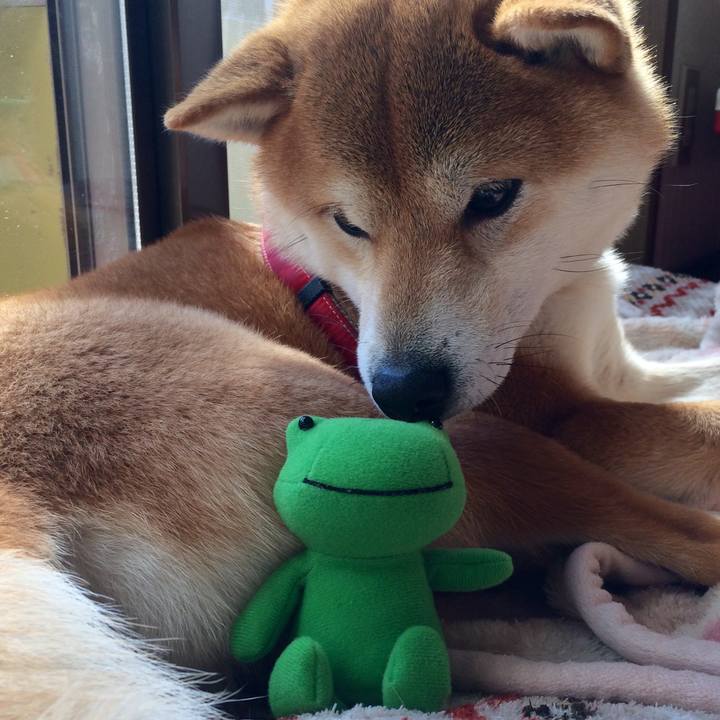 B3cd9ffd cce1 479d a8e1 3dcc2ed0818f