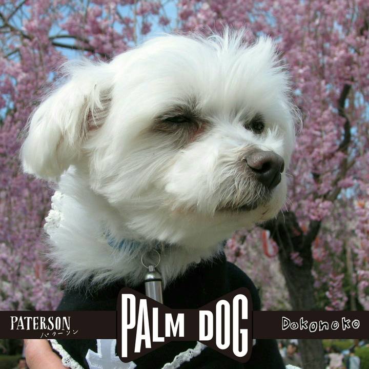 B3cdc131 88d1 4785 9b65 64bef98e8d58