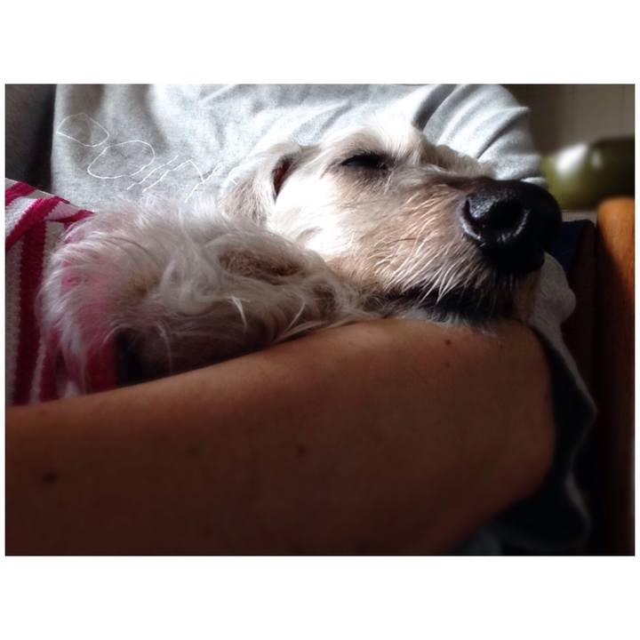 B3cdc133 a5cd 49a0 ad46 6f895ca4c809