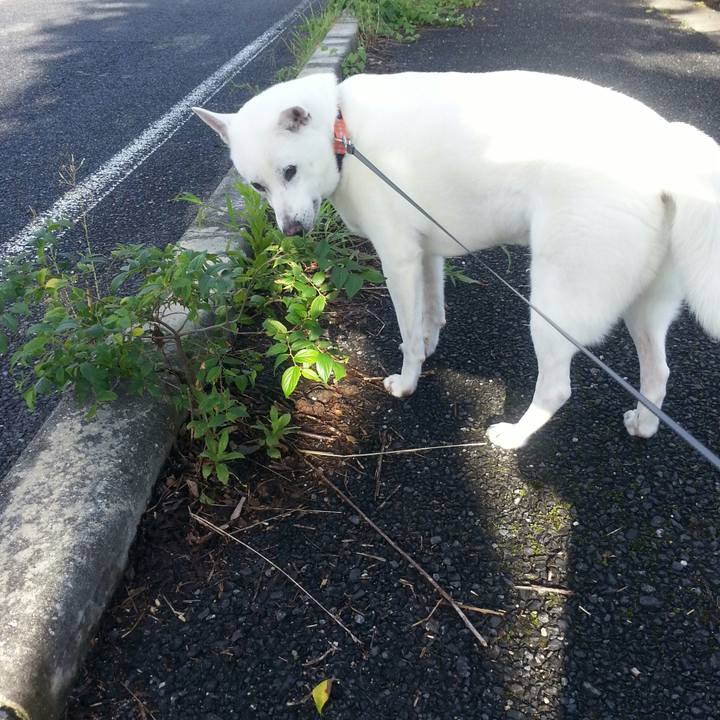 B3cde70a 2437 4bc4 8c0e cbd7981b0546