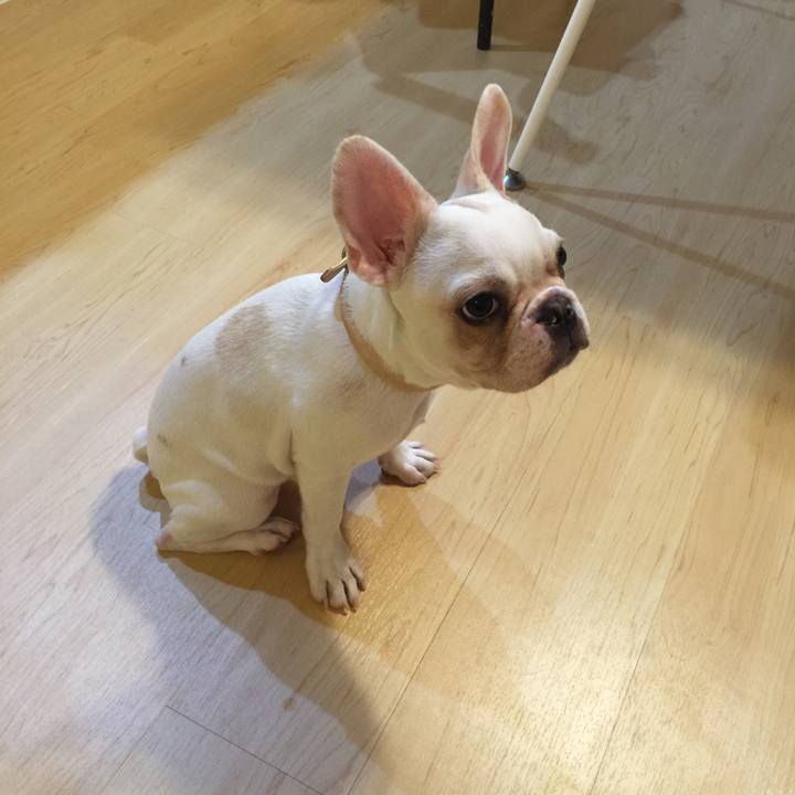 B3cef8c6 0b95 4603 94ca 4f1da5fb30c3