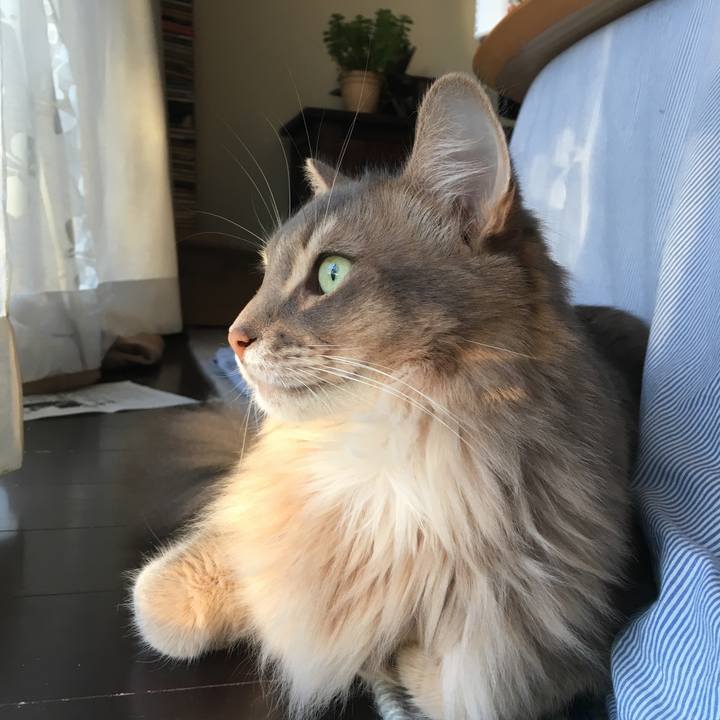 B3cf1232 314f 49bf 875b f95aac3726ed