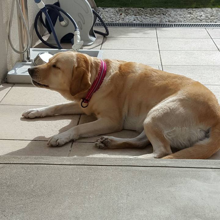 B3cff1a4 12f6 4478 bb87 c96d688b4b0d