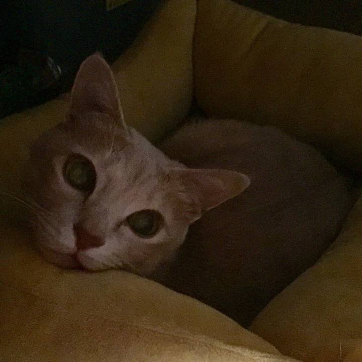 B3d12bc0 d918 4fe3 b36f 3353cffa8ce8