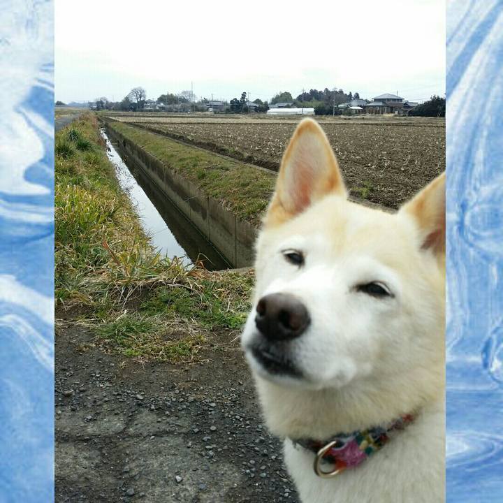 B3d12dfe 9100 4cc6 ae88 628fe4392ac2