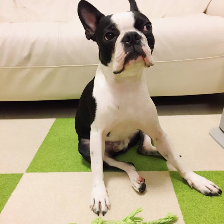 B3d15158 d589 464e 9e3a d777aca68310