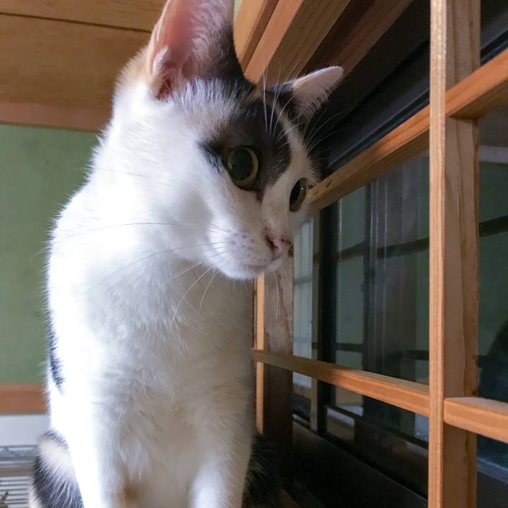 B3d19b74 4a1a 448a a02d ce3f8c5bb898