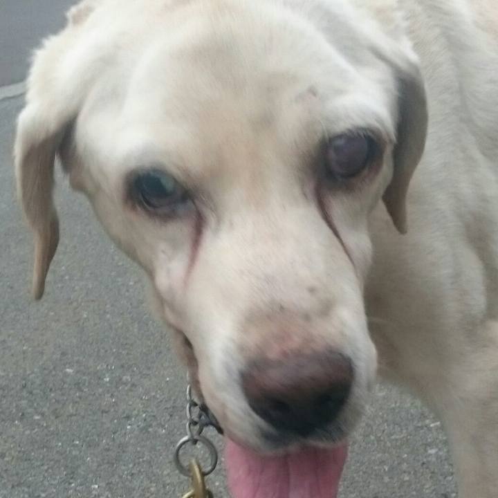 B3d21e54 7545 46d1 b0b0 9cc235f6f258