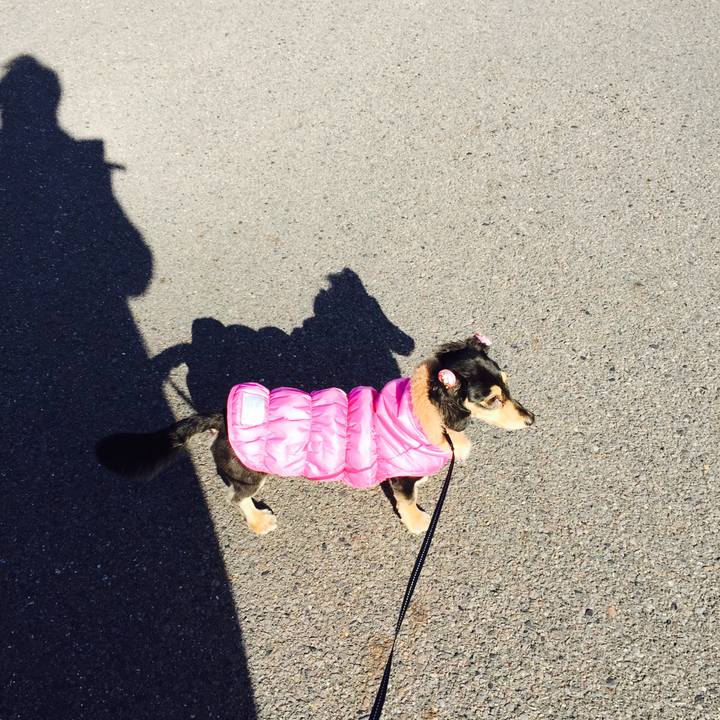 B3d265cd 159f 4f8b 8aef a75e5e228dac