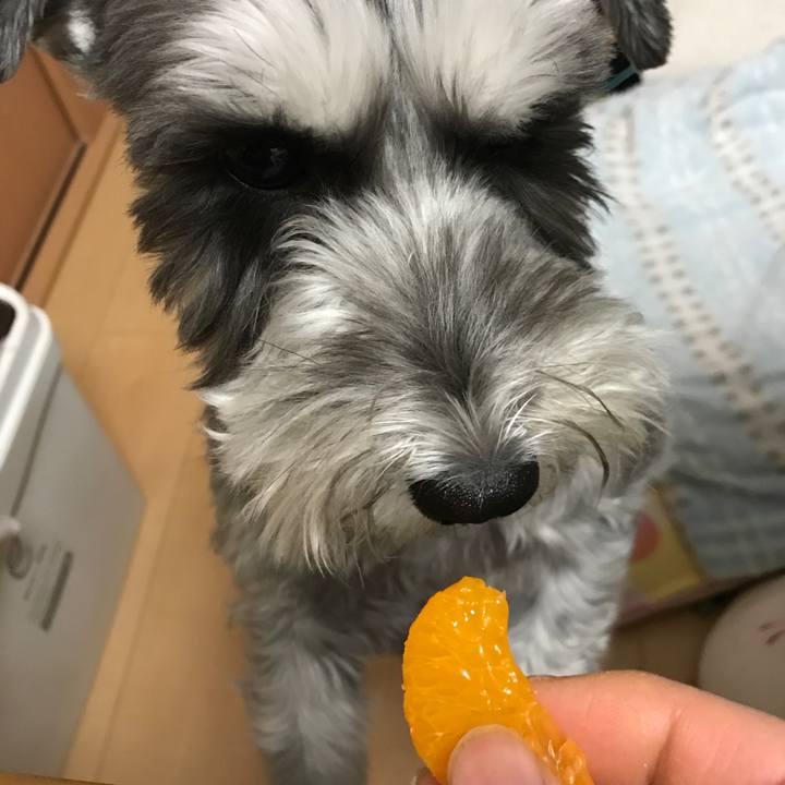 B3d28a92 a16c 4163 a8a3 fab8c8372383