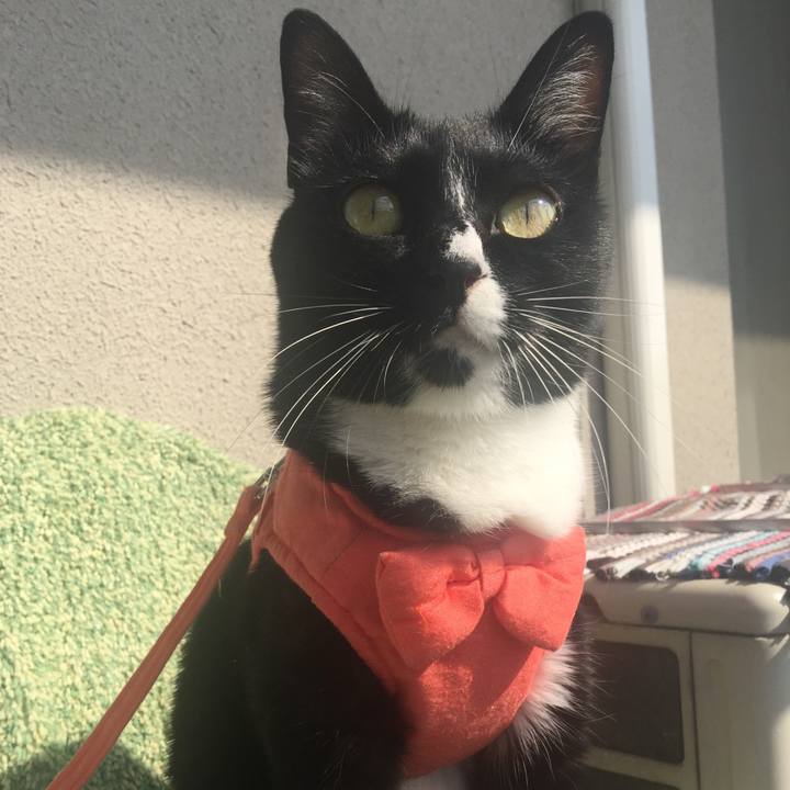 B3d2a67d 861a 4493 a1a1 2fea2d9d0fd6