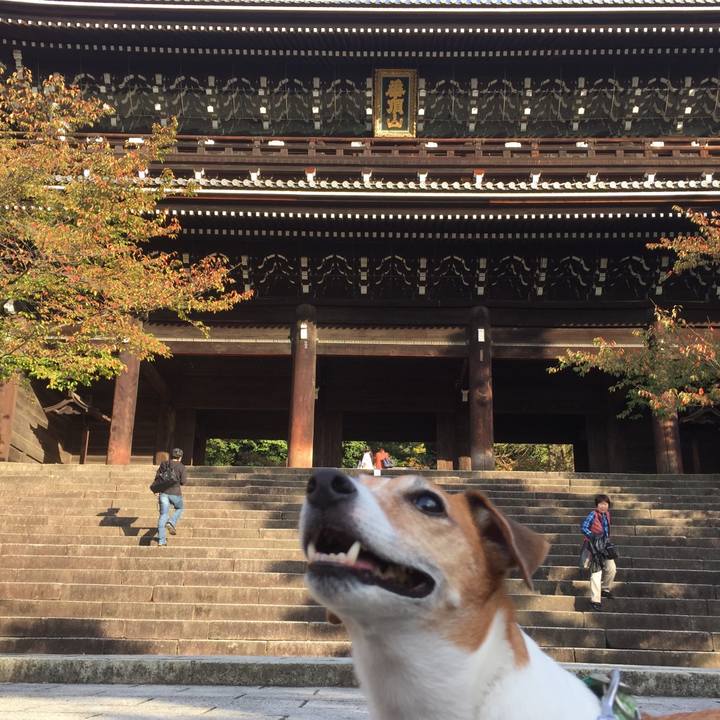 B3d2efc0 4c59 4c71 820b ae87329e295c