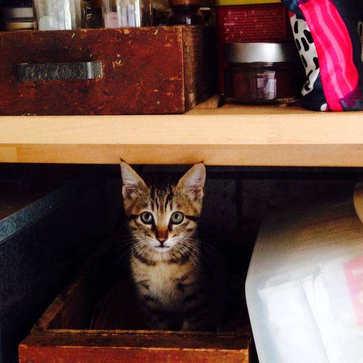 B3d36120 80cd 426b 9cc0 428187ac11ad