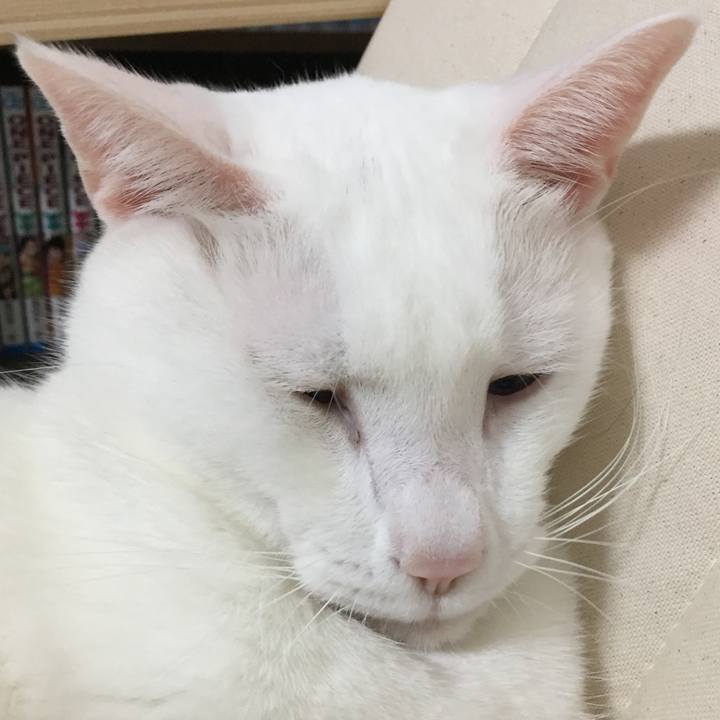 B3d3793a 7ab2 4314 9e14 c68ad651988c