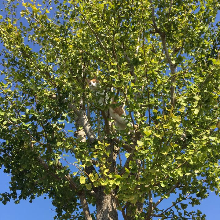 B3d3e881 e9f7 4c23 b9c7 e12faa4a448e