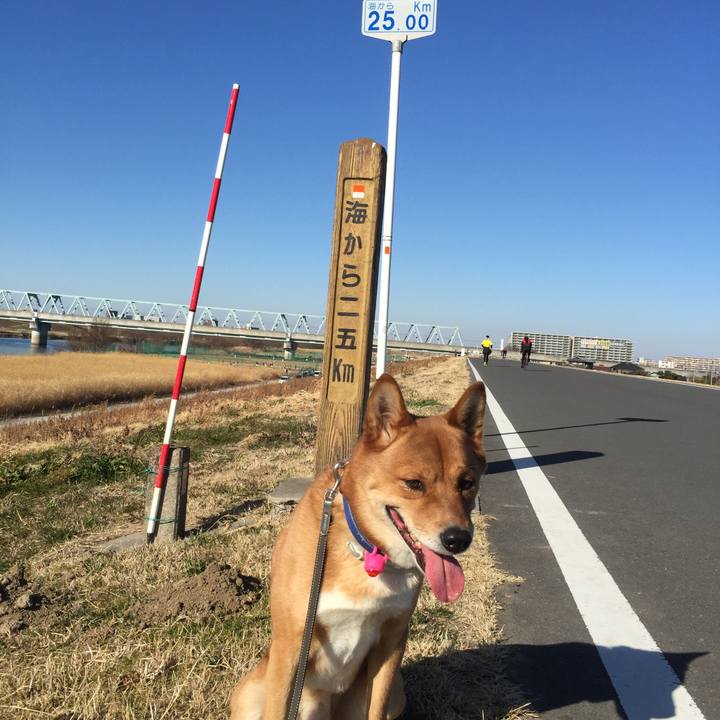 B3d450d7 6879 4786 b219 a4310b124347