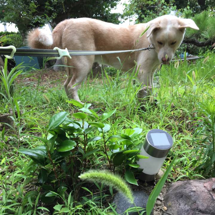 B3d493bb 115b 474b ae2c cedd94be0437