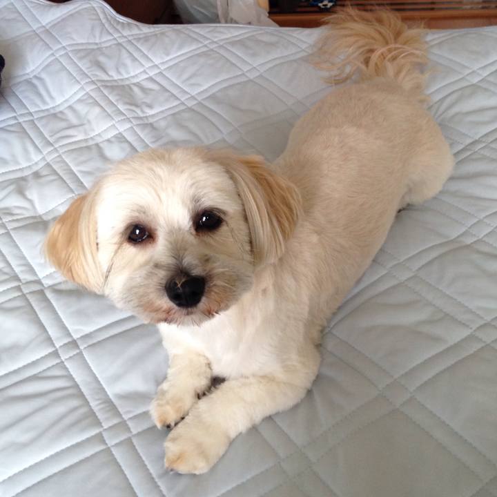 B3d5167d 8ed6 4b18 ba57 f5654150f26a