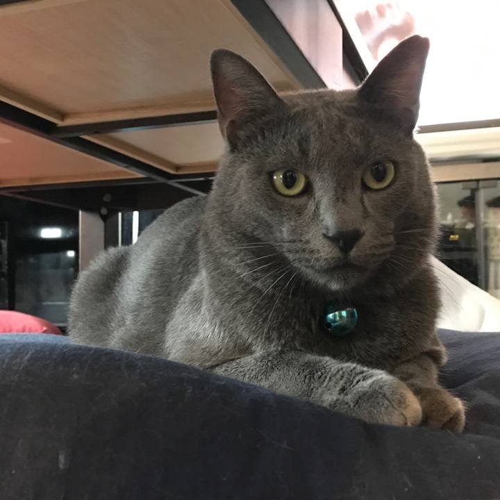 B3d54830 68d9 428e b7b9 0ed0c847e18d