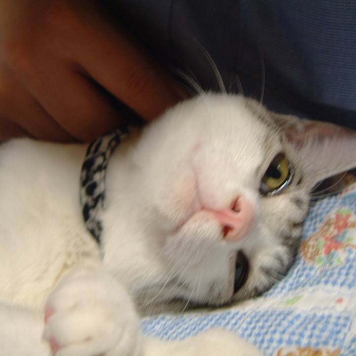 B3d59ac4 549f 4c28 b236 7055677c4d23