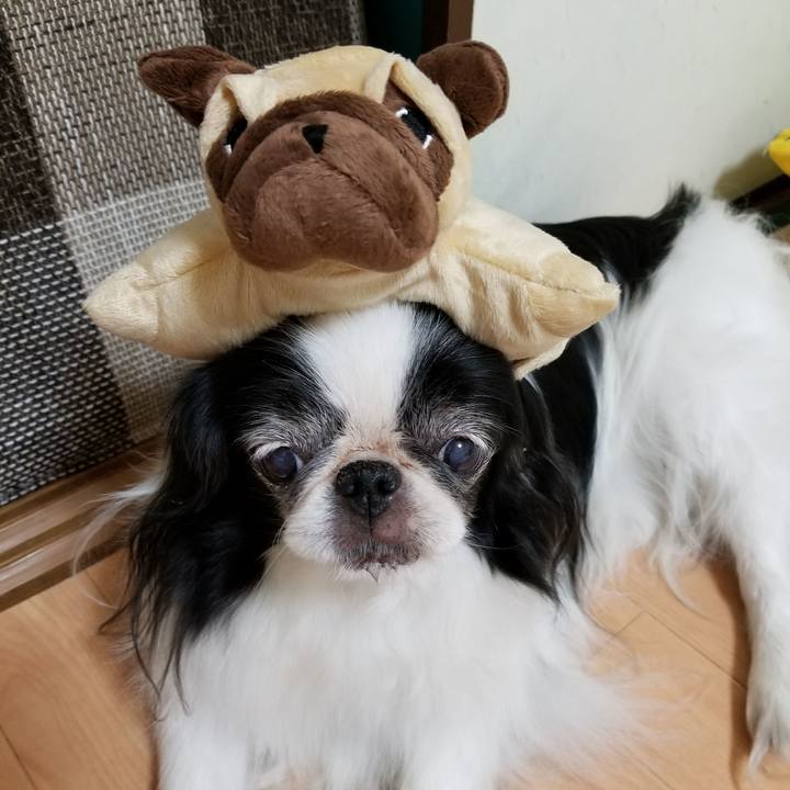 B3d5bb5b 8576 45b3 ab69 0373853e9734