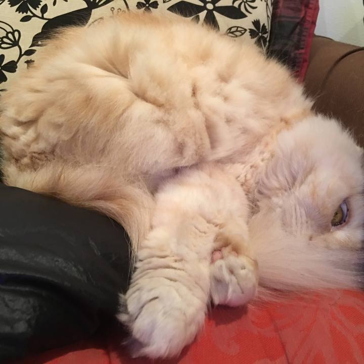 B3d5fccd 39ca 47a8 aab0 e35d8bc629d7