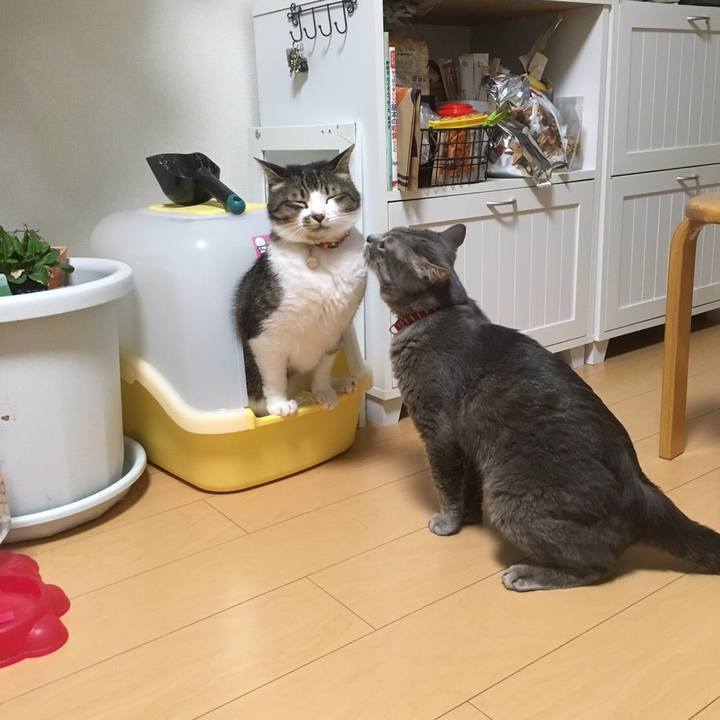 B3d63e3f 54b1 480d 9594 6605e844a9b3