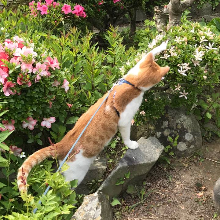 B3d65014 0279 42f2 9ed8 c8aa2d3df29a