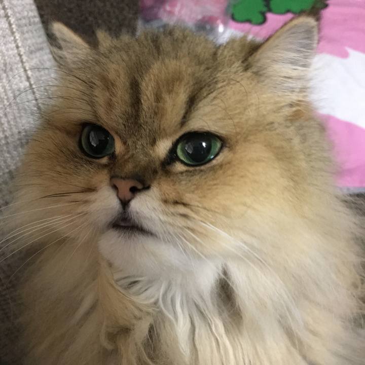 B3d67257 d2a3 45f1 a554 70a2a2cea48e