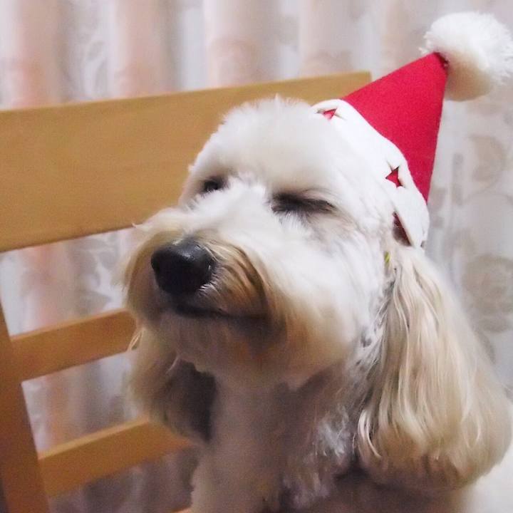 B3d6d7ed 3767 45df 8000 884c9fc395ab
