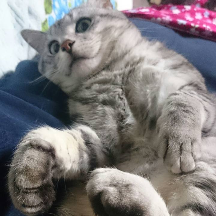 B3d6e2ec 0c5d 4435 8fb3 5a79888c087c