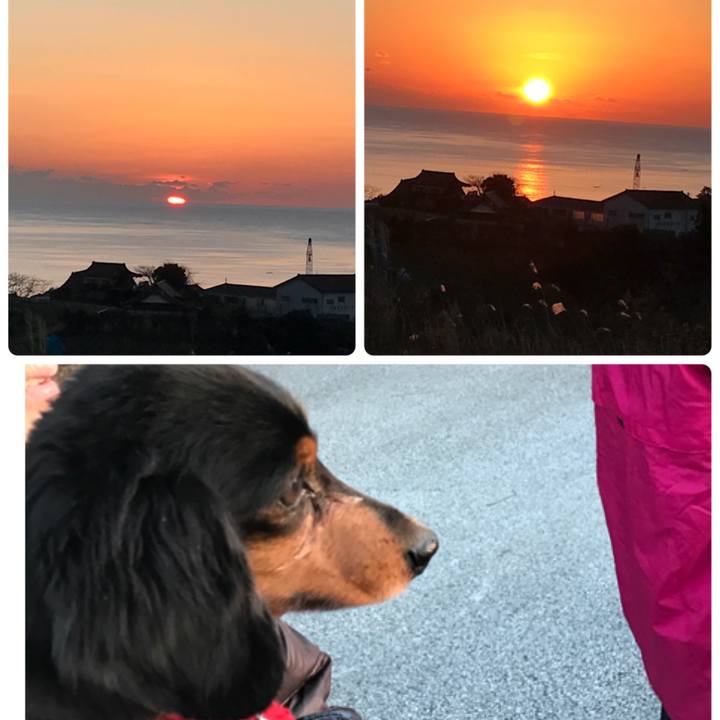 B3d7607c 117b 44bc b79b 532d523c566c