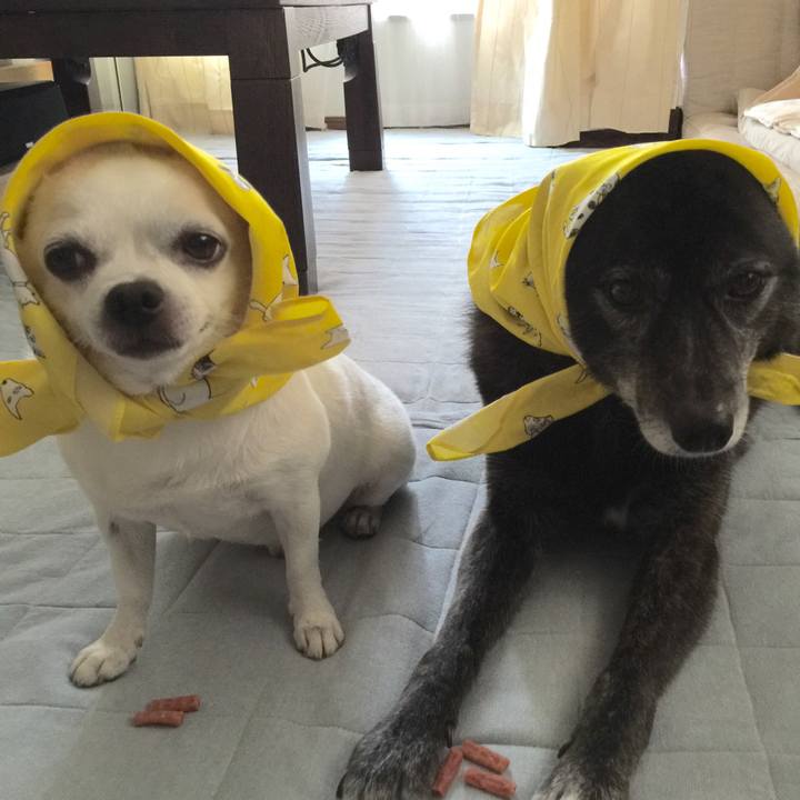 B3d7b50b 2980 4011 ad64 79c28291e068