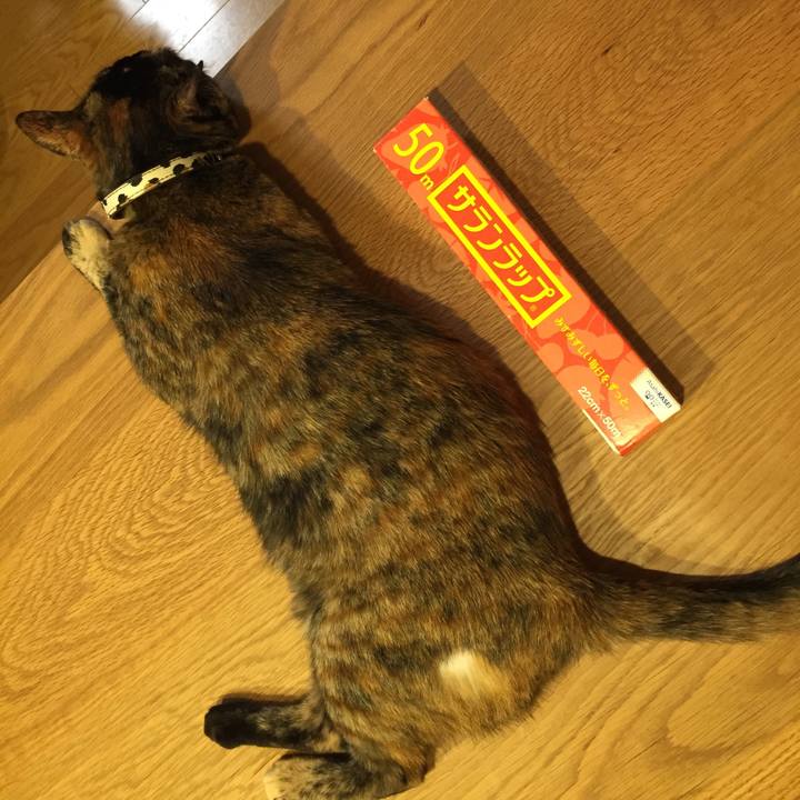 B3d9022f 3e8e 4859 a51a cbee6aebdb3a