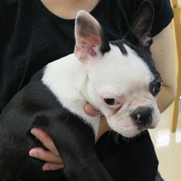 B3d92963 fe90 4137 bfbb 1dddfff8b673