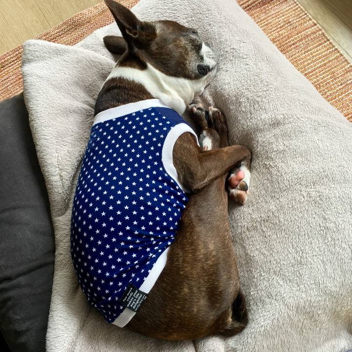 B3d93c0e 6a4a 4173 b488 9880ef01b2fa