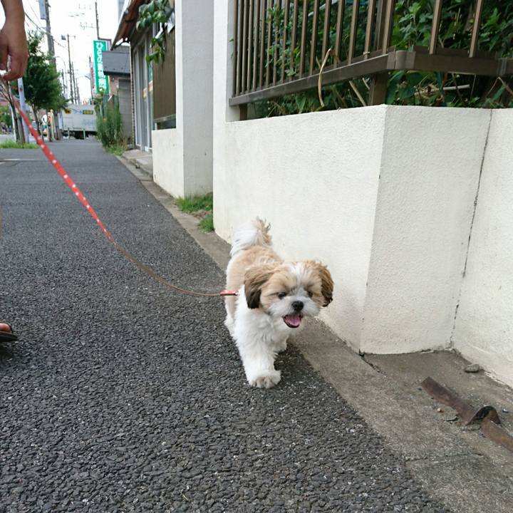 B3d97dbc 5622 459d 8da6 1720f707f5d8