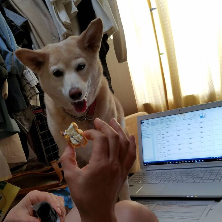 B3da47e1 520f 4679 a962 ae4a16b28307