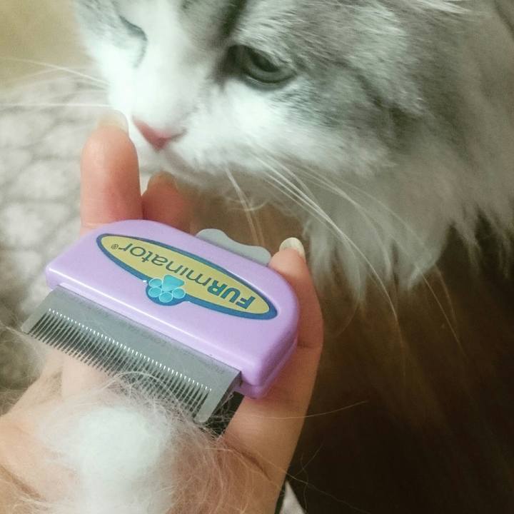 B3db21be 0cfc 4765 8460 314fa7e6488a