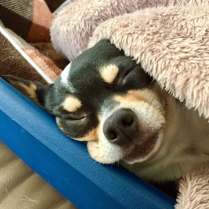 B3db9beb 2e7a 4c9a a32a 2f0b924ff3c5